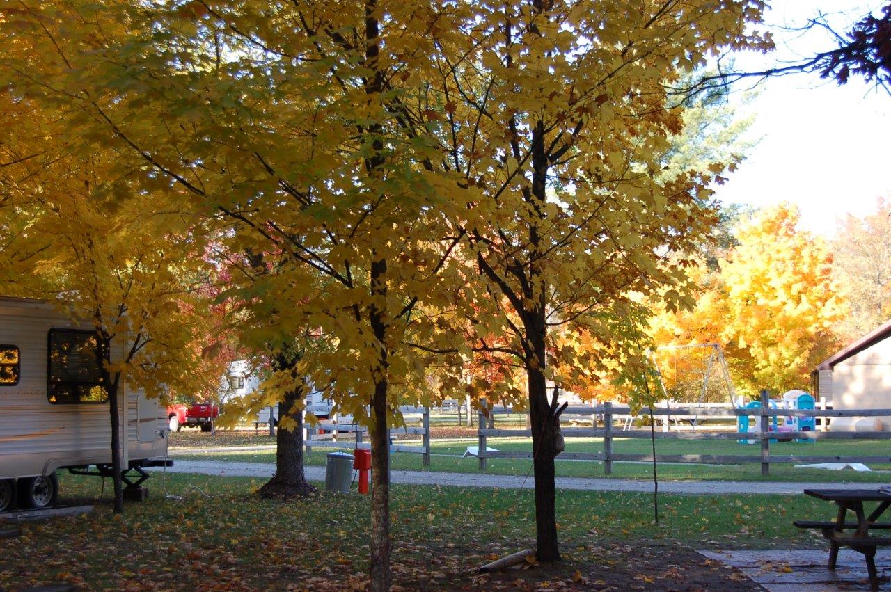 Pine River camping Manistee River Tippy Dam Cadillac campground Manistee Irons michigan camping rv tent camper 3.jpg